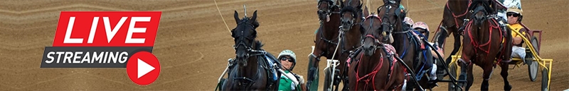 Watch Live Stream of the Harness Races