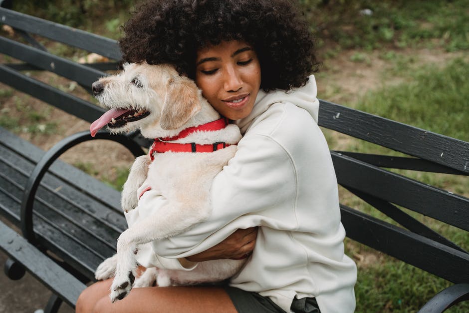 Dog with woman on a bench