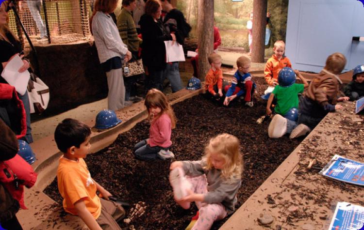 The Mary Ann MacLean Play Museum at ISM Springfield.