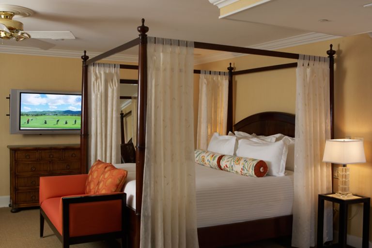 a canopy bed with a television
