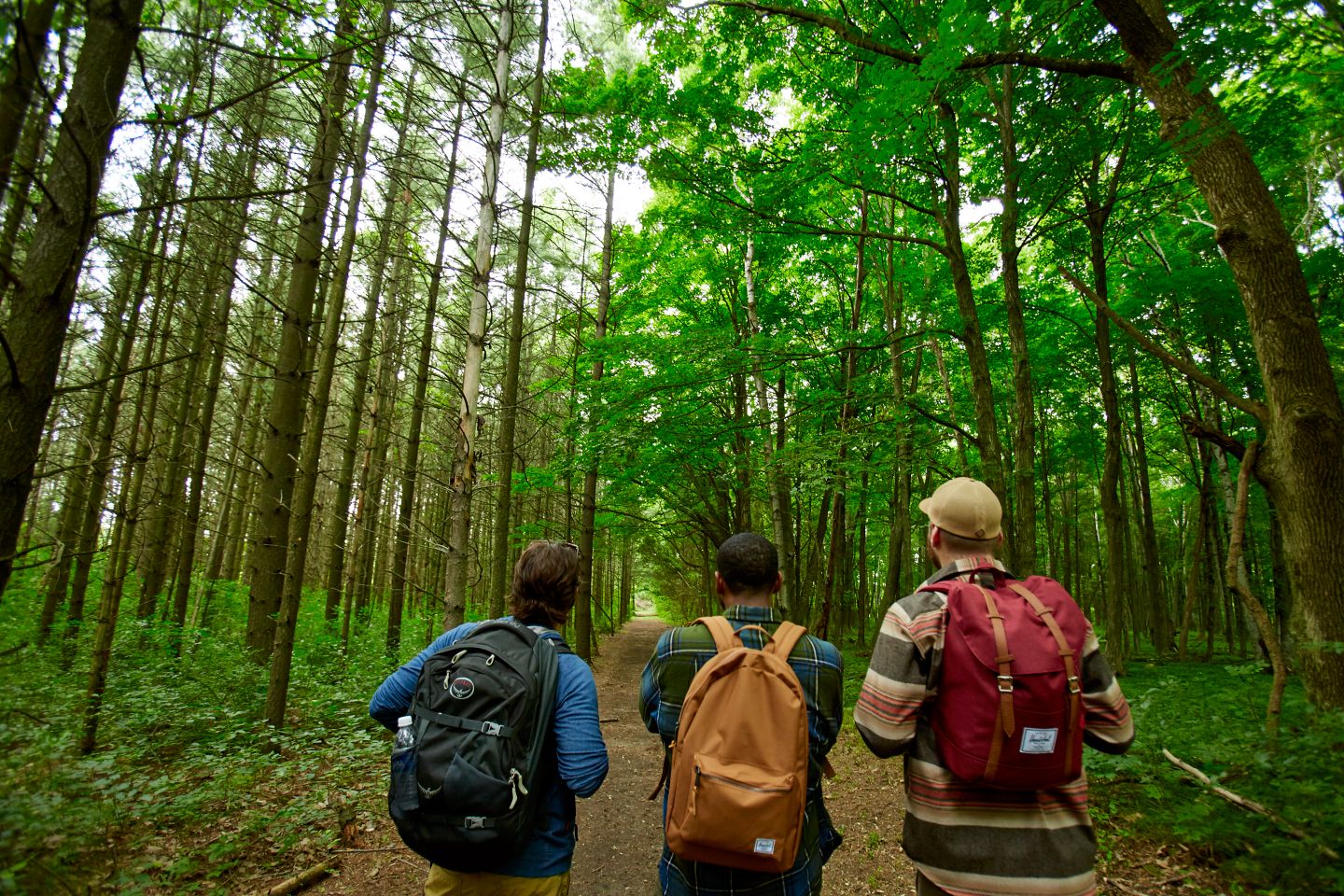 three men hiking in the woods