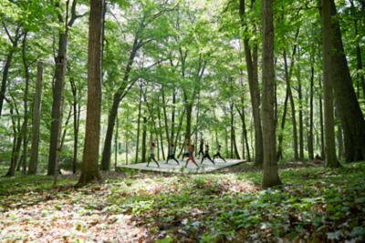 Yoga in the woods