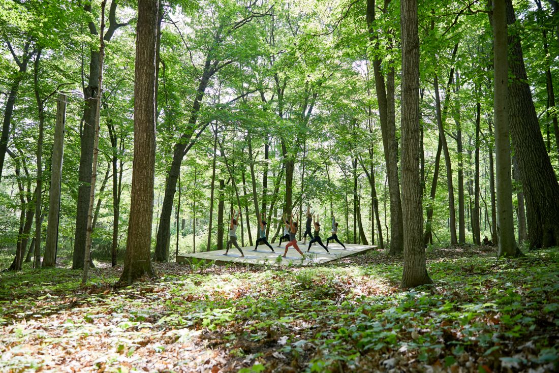 Yoga in the woods