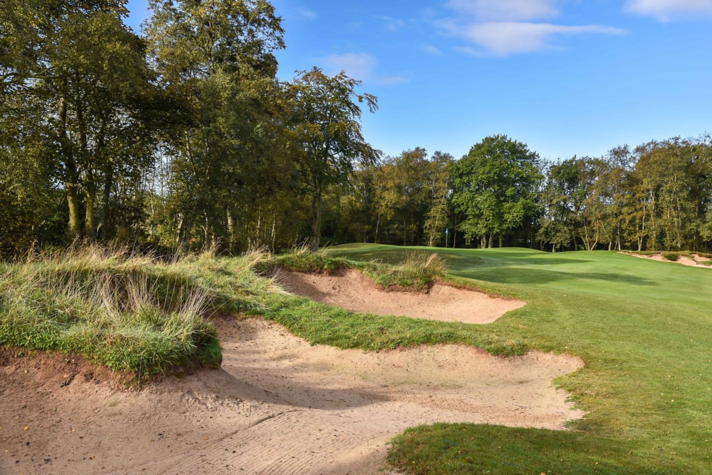 No. 2 Drumcarrow. Looking towards The Duke's 2nd hole green from the left of the fairway.