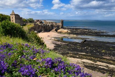 St Andrews castle and beach on a sunny day
