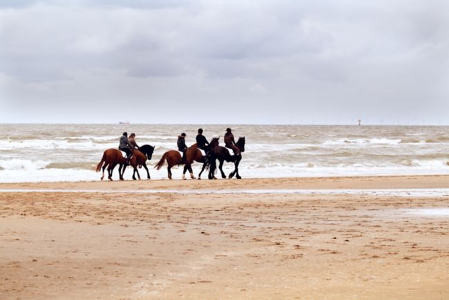 Horse riding on beach