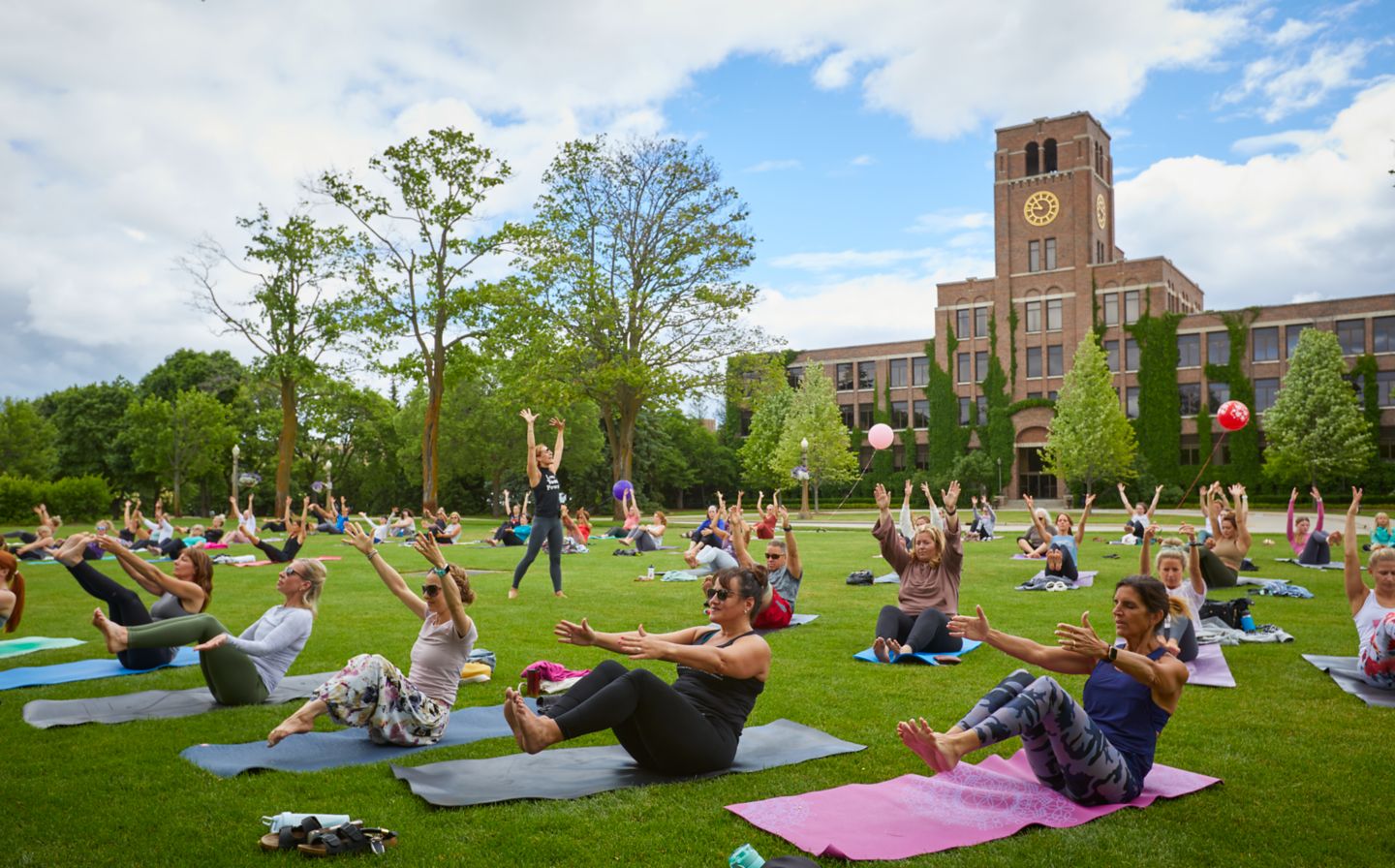 people practicing yoga on a green lawn