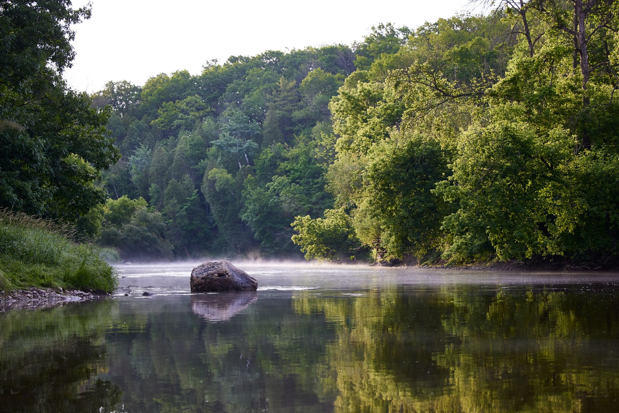 About River Wildlife | Destination Kohler