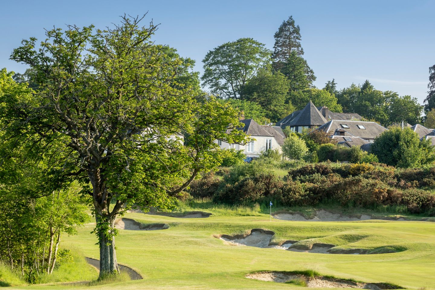 No. 15 Steading. Looking towards the 15th green at The Duke's golf course over multiple bunkers.