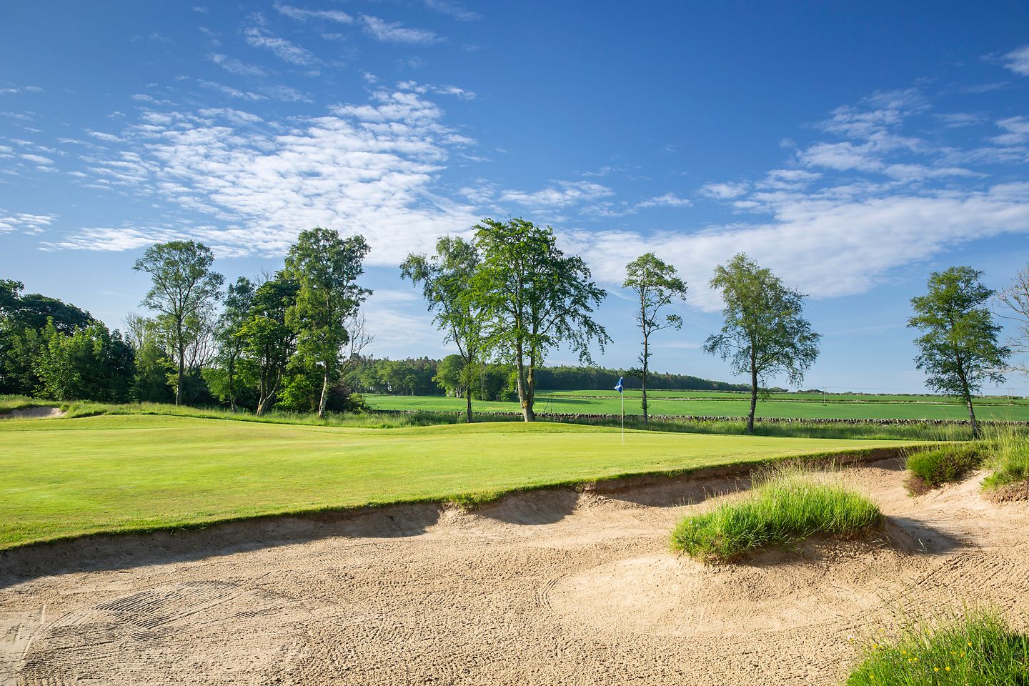 No. 2 Drumcarrow.  View over a bunker towards The Duke's 2nd hole green.