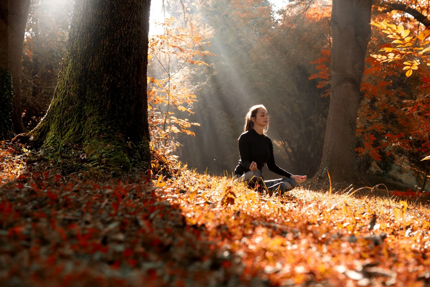 A woman sitting meditating in an autumnal forest