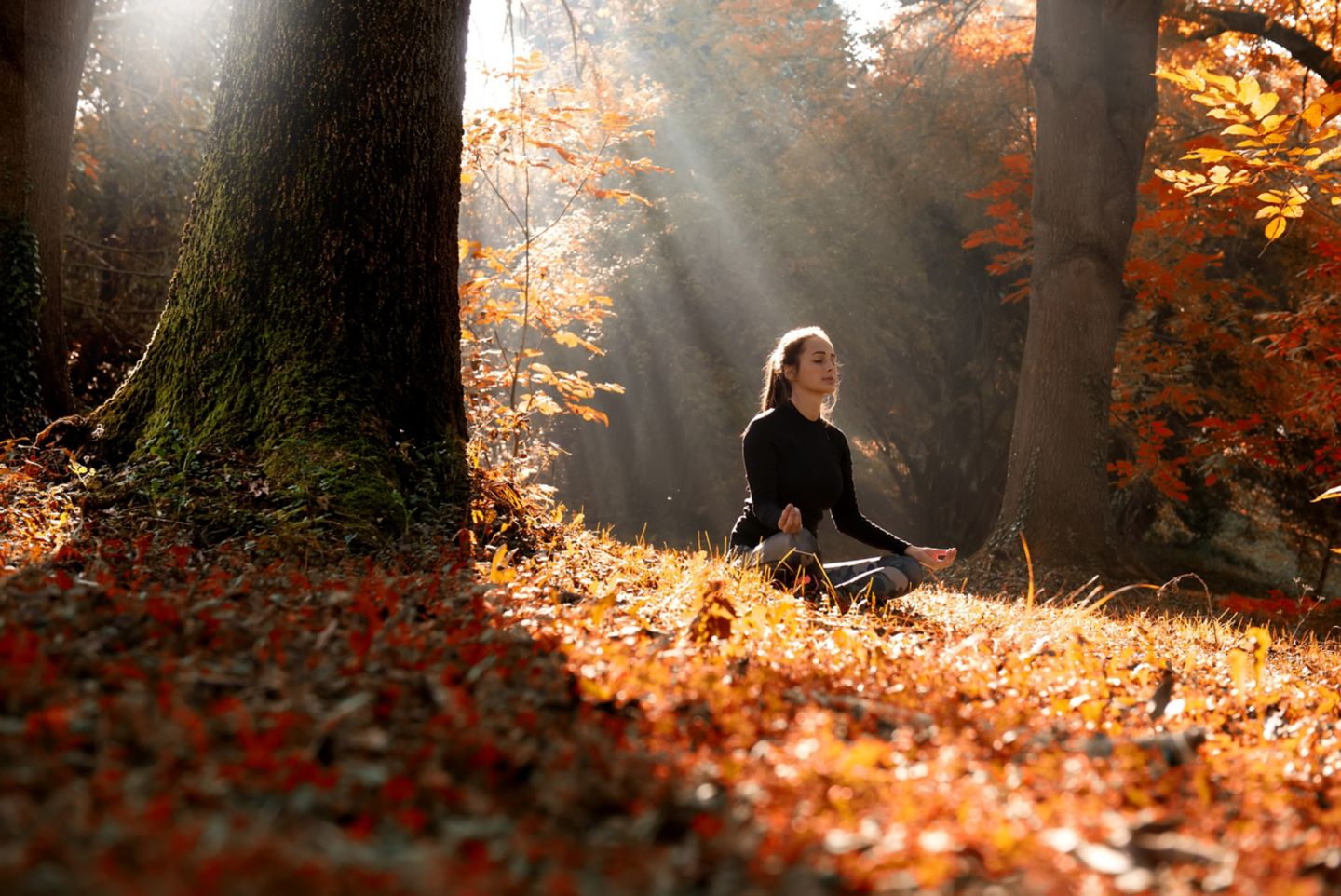 Spring Equinox Yoga Workshop