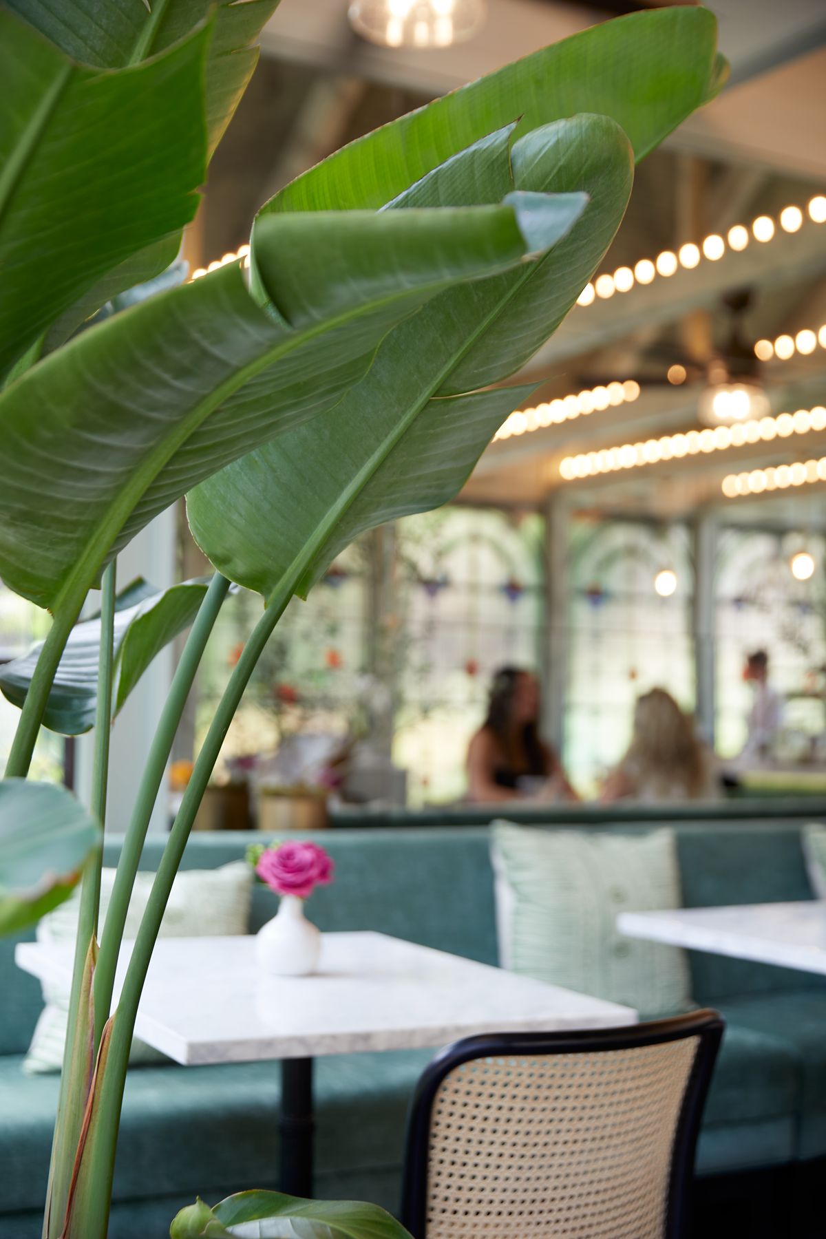 The Greenhouse interior