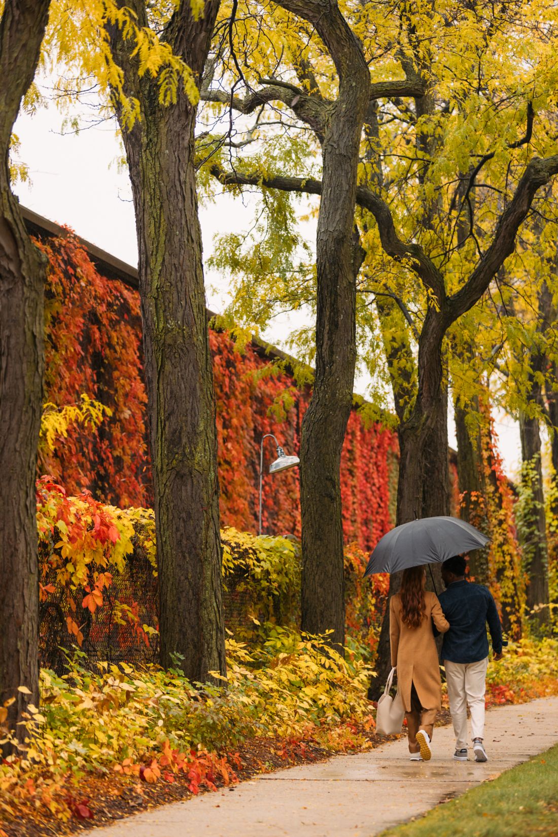 The American Club exterior with all the fall colors