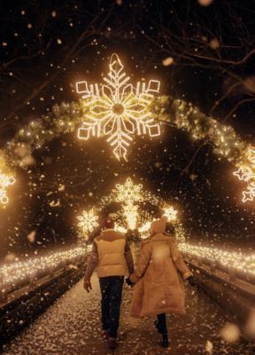 a couple walking in a winter scene