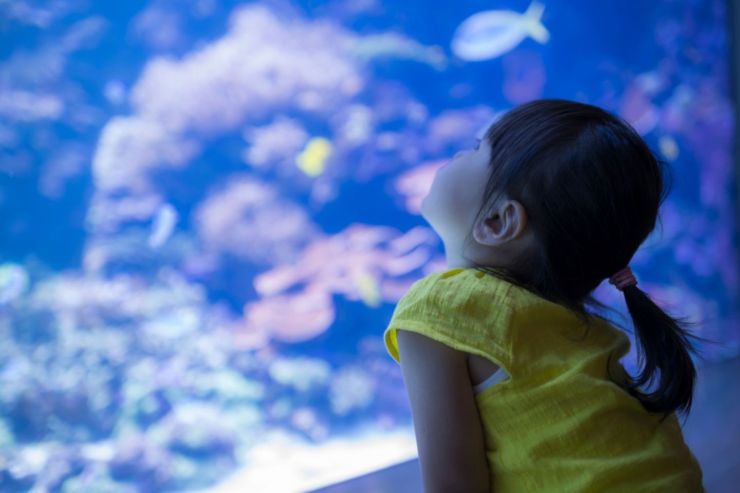 Aquarium