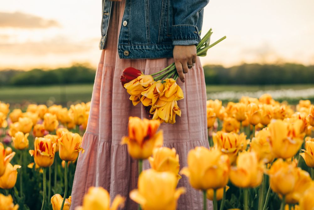 a family walking through a tulip field with the tulips in the foreground
