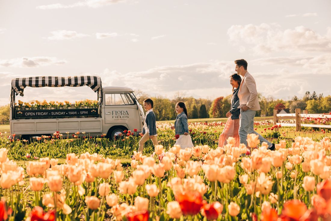 a family walking through tulips