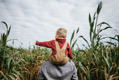 father and son going through a corn maze