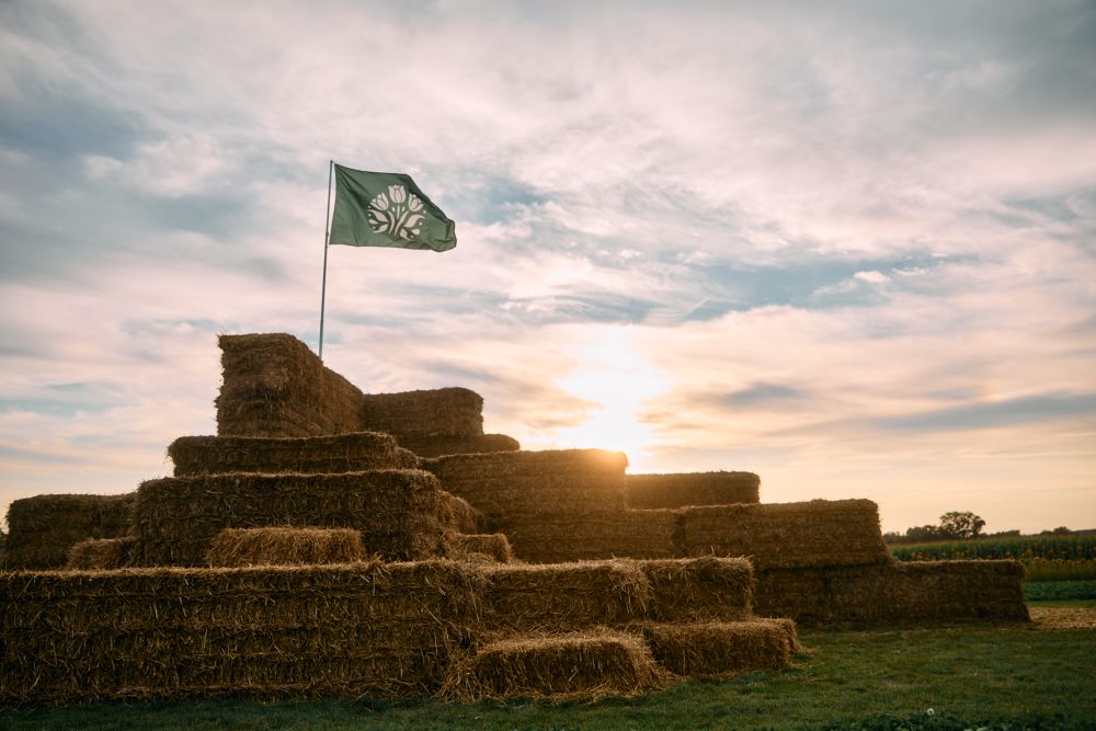 a flora field hay fort