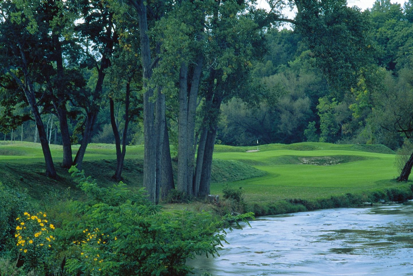 The green and flag stick of hole 9 on the River Course is in the distance with the river on the right. 