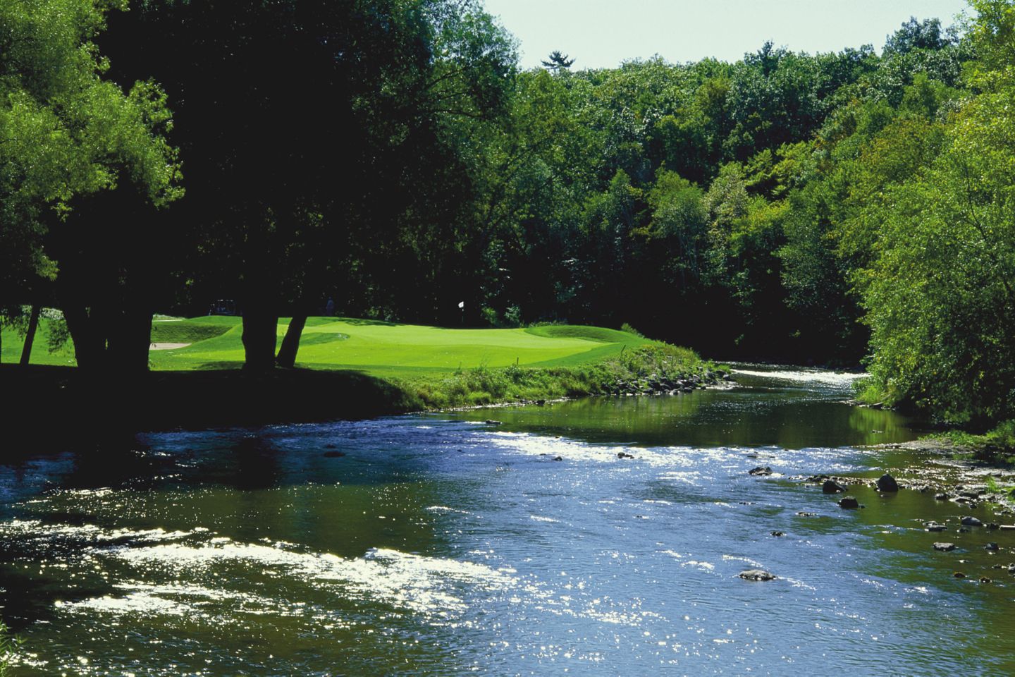 The green of hole 13 on The River course in the background with the river on the right. 