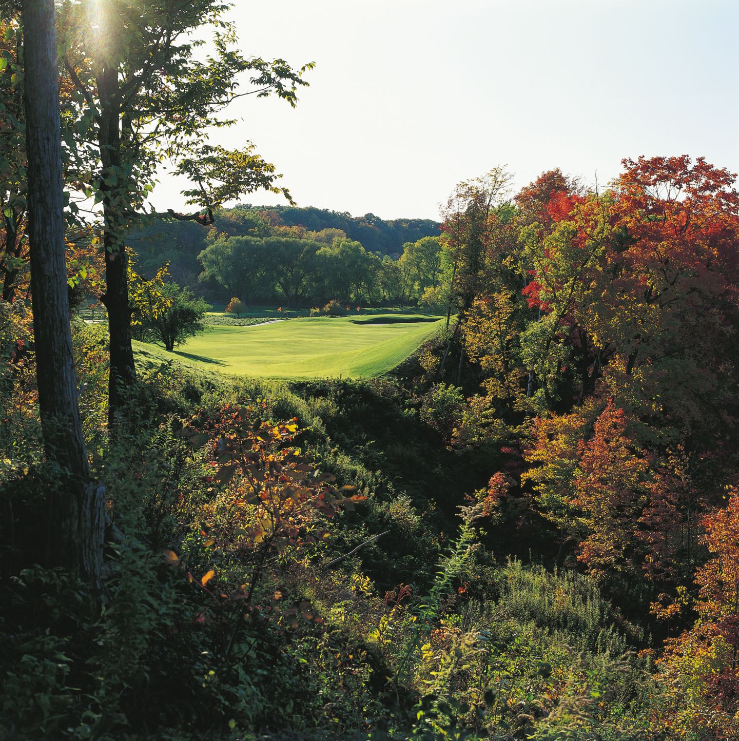 The fariway of hole 8 of the River Course with sunlight and trees with fall color. 