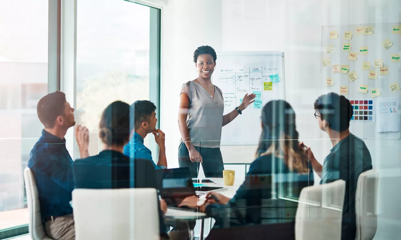 Woman presenting to a group in a boardroom