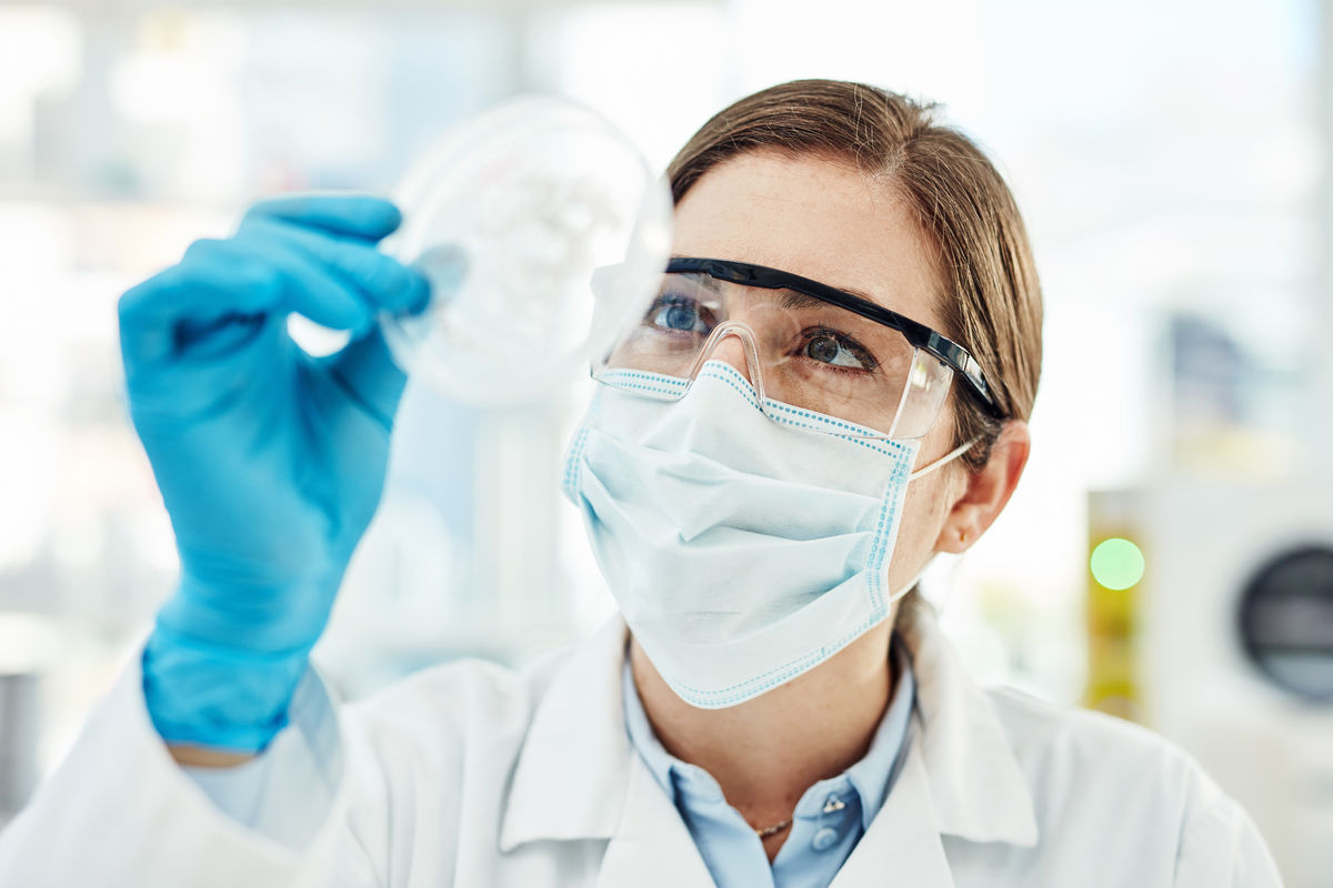 Scientist holding up a petri dish observing the findings