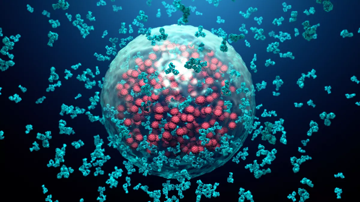 microscopic image of a cell being swarmed 