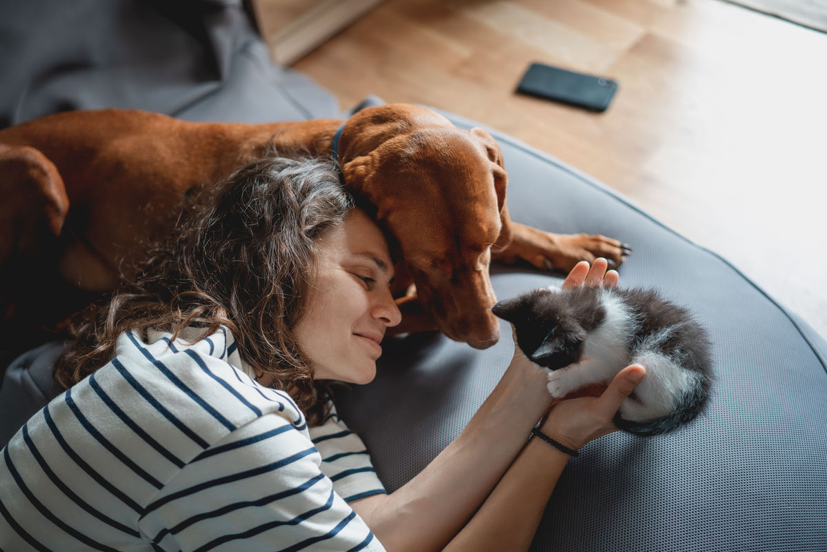 Woman layig on a couch with a cat and a dog