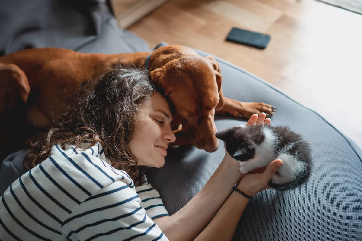 Woman holding a kitten with a dog laying next to her