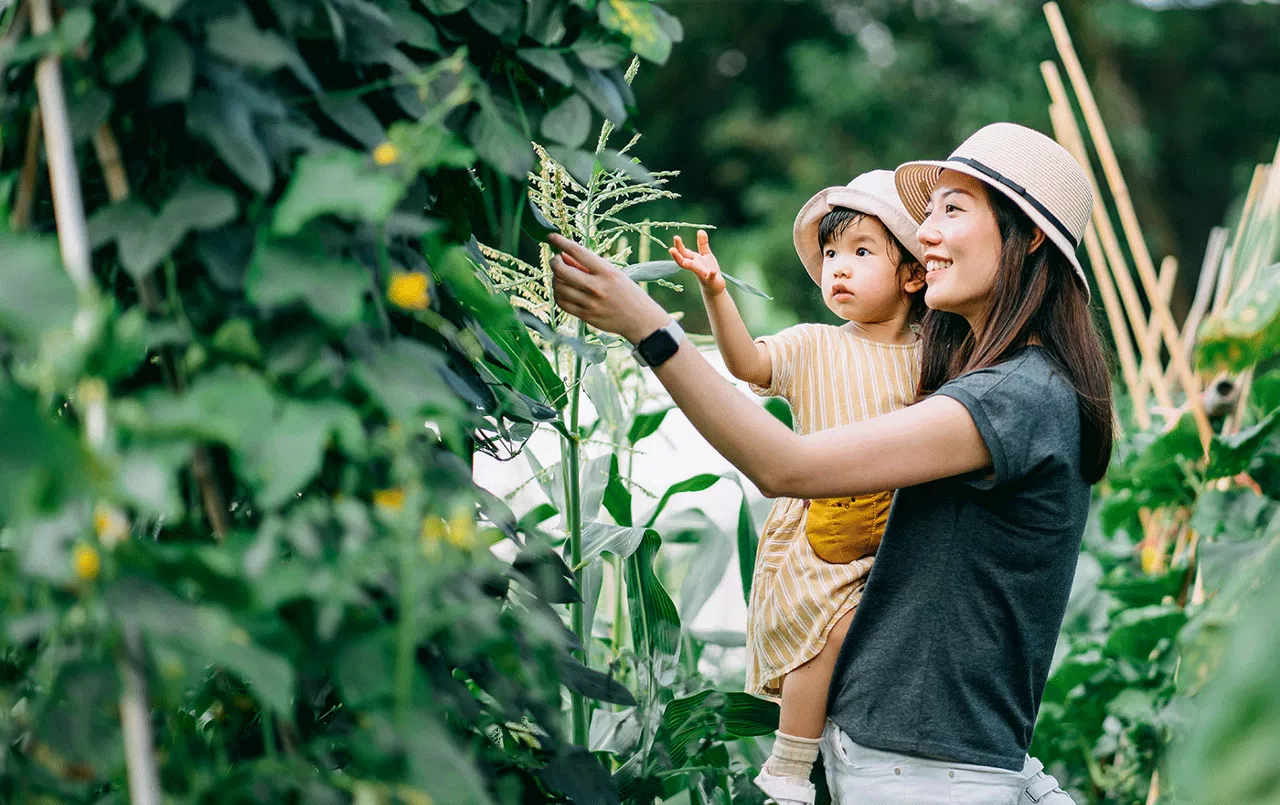 Mother holding her daughter while she is looking at a fruit tree