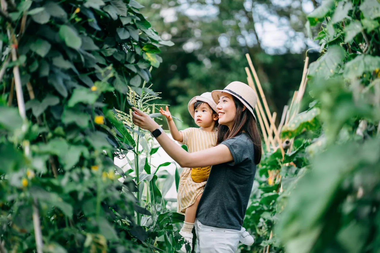 Happy young Asian family experiencing agriculture in an organic farm. Mother teaching little daughter to learn to respect the Mother Nature