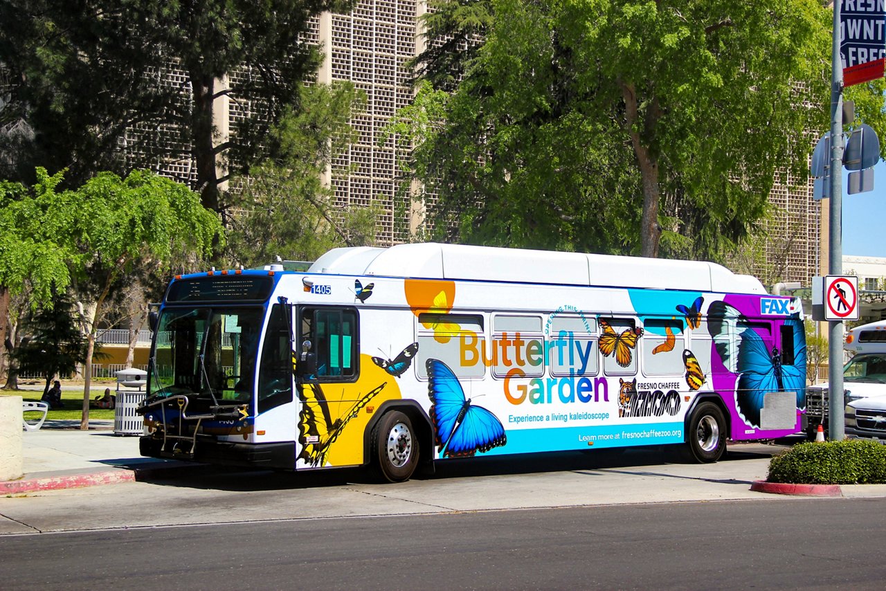 Lamar Butterfly Garden Bus