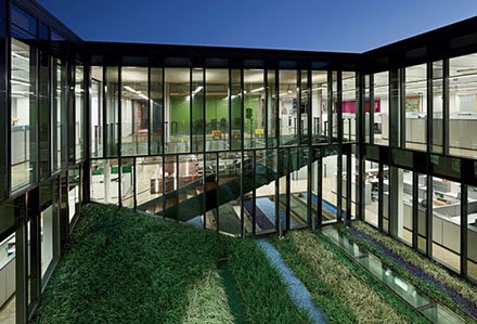 Greenery in the middle of the glass walls outside Lamar Advertising Corporate Headquarters