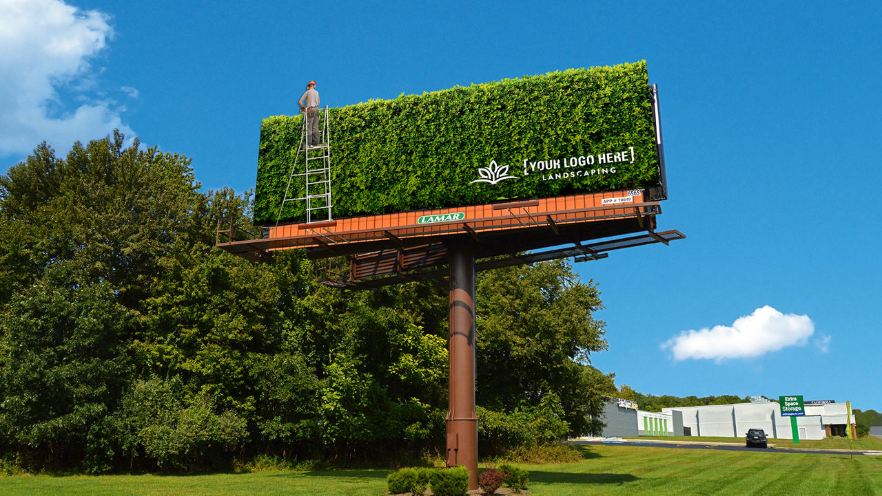 Landscaper on a ladder