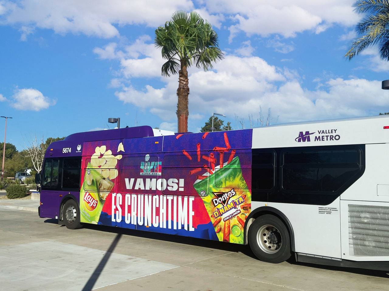 Phoenix_Ultra Super King (1)