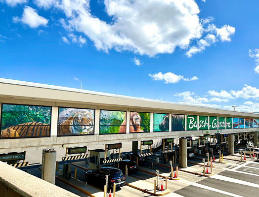Lamar Advertising and Busch Gardens airport outdoor window wrap at TPA