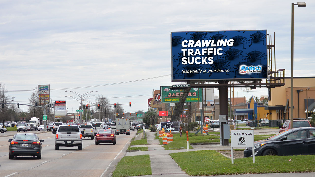 Pestech Pest Solutions Digital Bulletin 