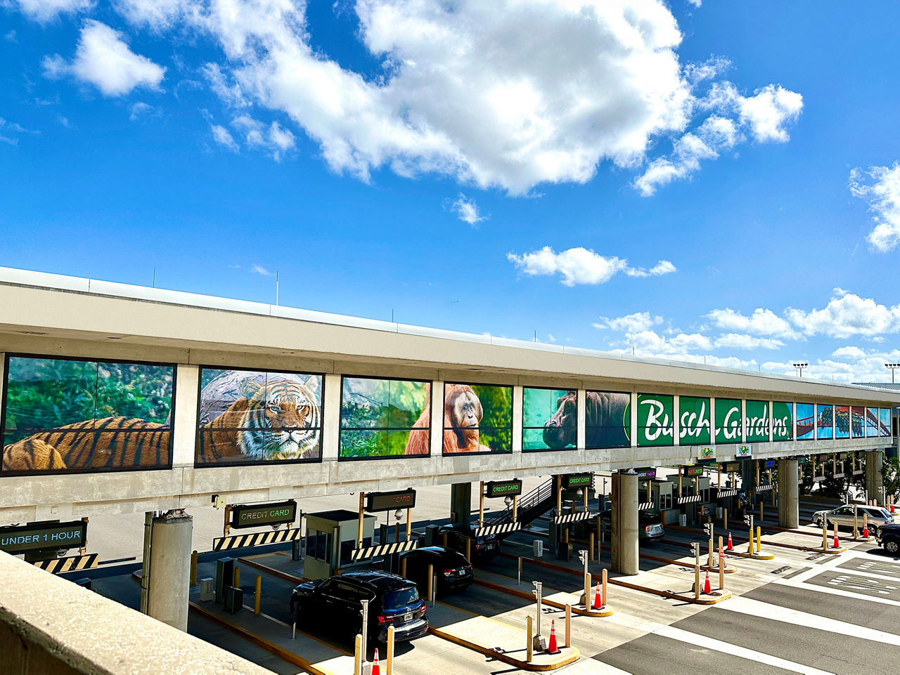 TPA_Outdoor Window Wrap