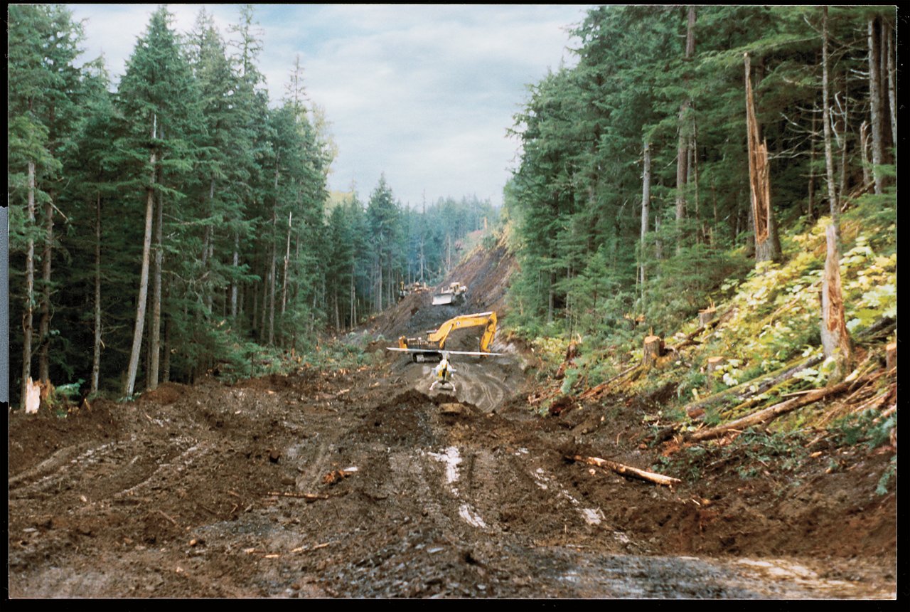 logging road with heavy equipment in the distance