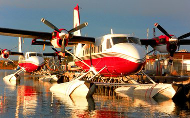 Exterior view of plane.