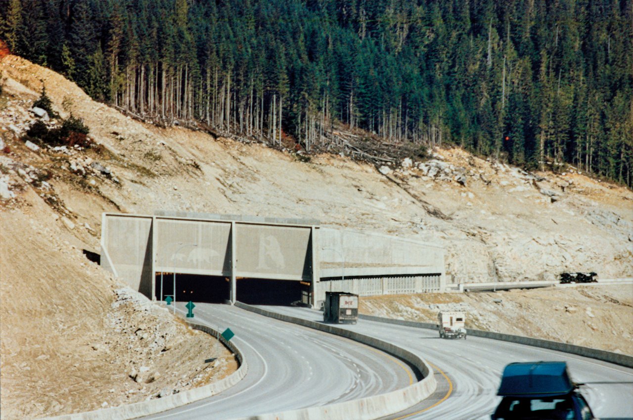 Overpass along highway