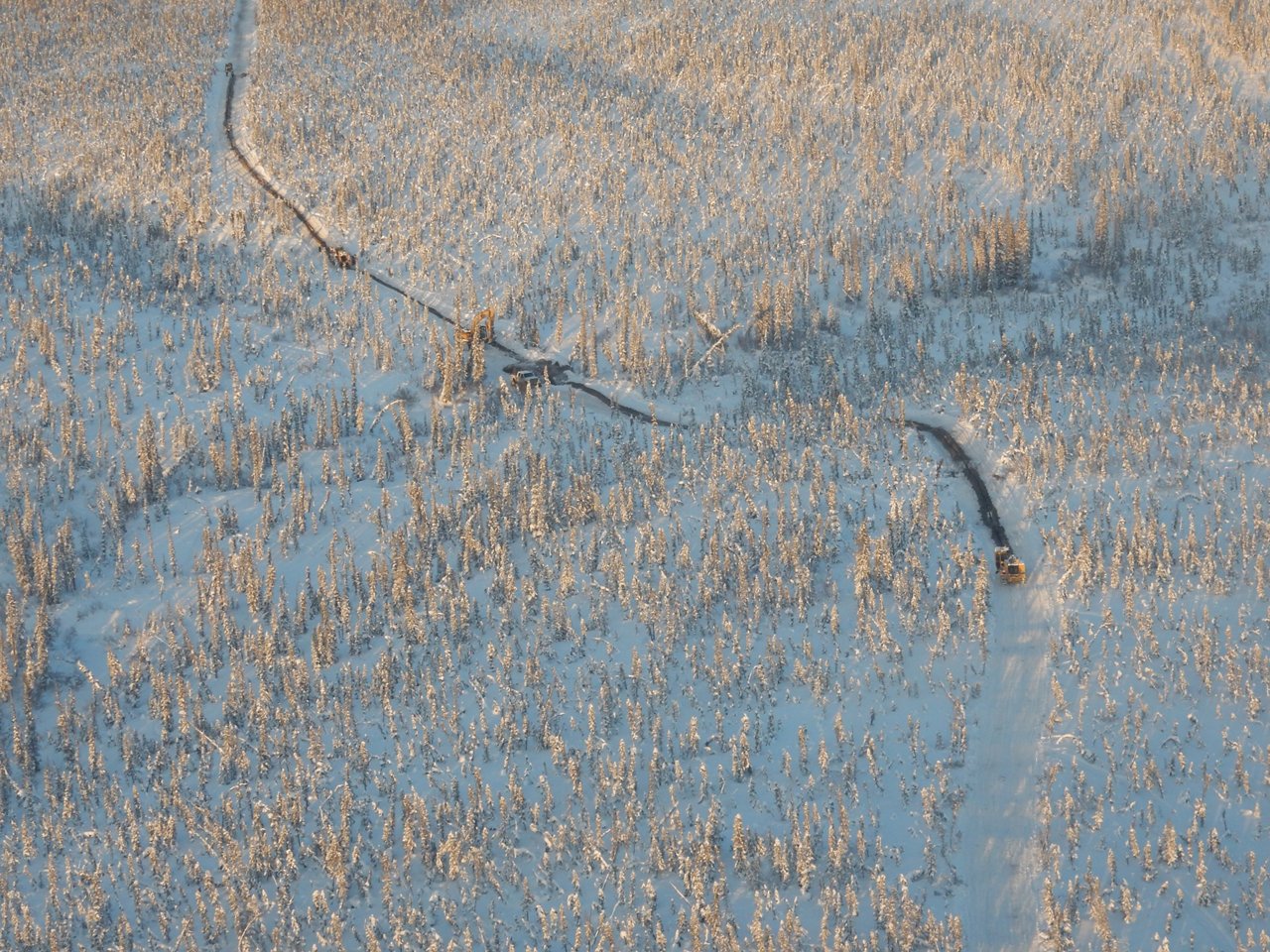 Aerial view of site.