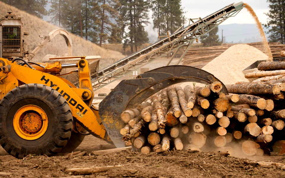 Ledcor Officially Opens Chilliwack Cant Mill - BC Forests Minister Visits