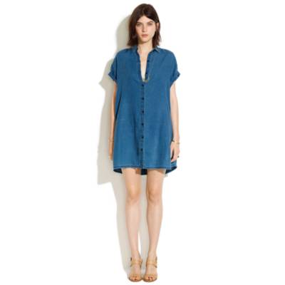 Indigo Linen Tunic Dress in Ink Shell