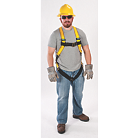 Workman® Harnesses