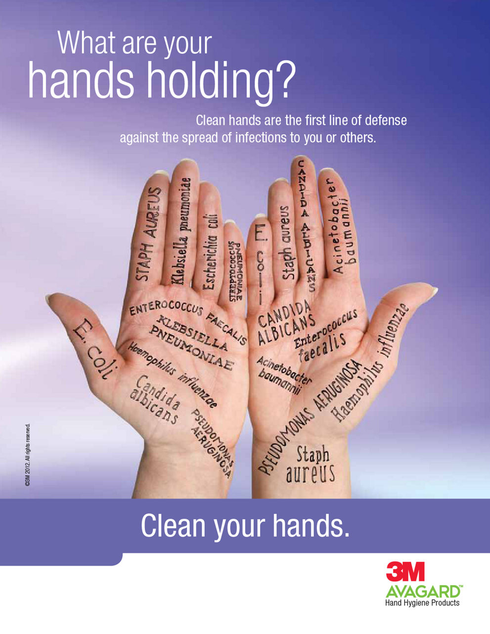 What are your hands holding?