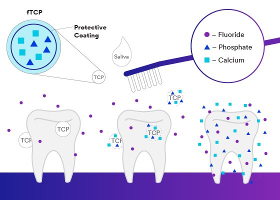 Informative oral care related imagery with a file name of 06-1.jpg shown on Solventum's "Brain Floss" blog